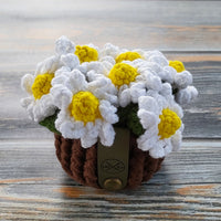 Crochet Flower Pot Coaster Set | Crochet Flower Bouquet Coaster